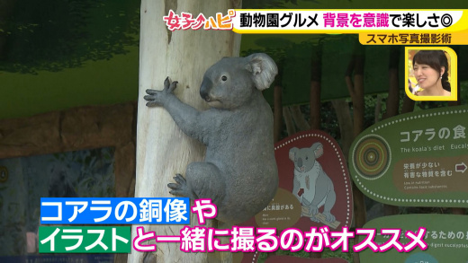 女子ハピ 秋のスマホ撮影術 In 東山動植物園 18年11月5日 月 ドデスカ 名古屋テレビ メ テレ