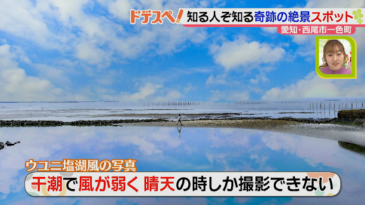 木曜ドデスぺ はましゅんの最旬スクープ 愛知 西尾市 21年4月15日 木 ドデスカ 名古屋テレビ メ テレ