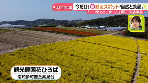 ドデスペ Aぇ Groupのココえぇとこや ん 愛知県 知多半島 22年4月18日 月 ドデスカ 名古屋テレビ メ テレ