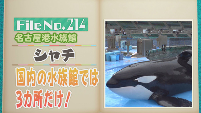 【File No.214】名古屋港水族館＜シャチ＞