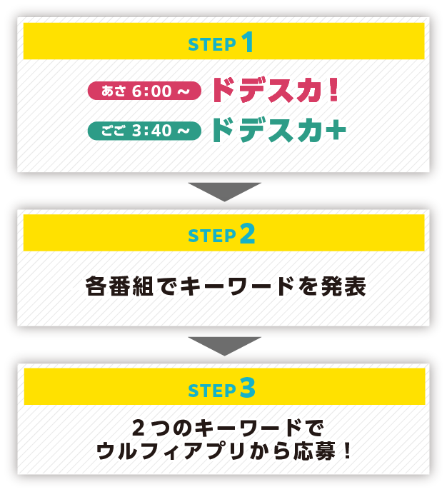 【STEP1】「ドデスカ！」「ドデスカ＋」を視聴【STEP2】各番組でキーワードを発表【STEP3】２つのキーワードでウルフィアプリから応募！