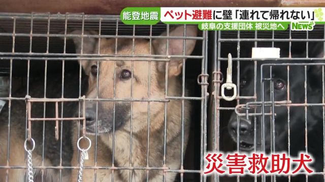 災害 ペット 安い の捜索