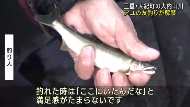アユの釣りが解禁　今年は苔の生育がよく稚魚が大きく育つ　三重県大紀町の大内山川