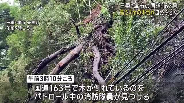 7mの木が倒れて国道が3.6キロ通行止め　平年より多量の雨　三重県津市