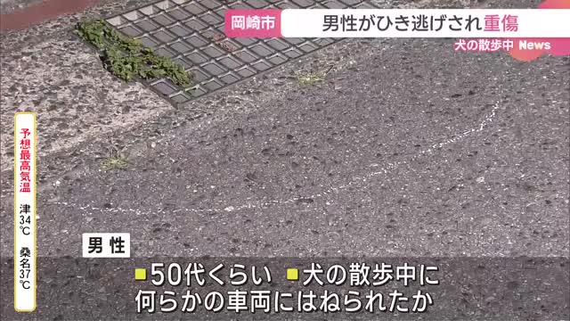 愛知県岡崎市で犬の散歩をしていた男性がひき逃げにあったか　重傷のもよう