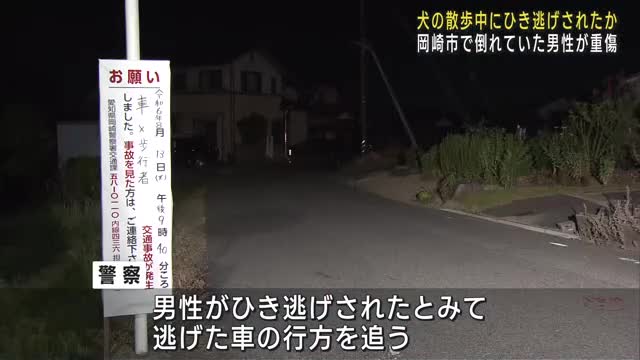 犬の散歩中にひき逃げか　道路脇で倒れていた男性が見つかり重傷のもよう　愛知県岡崎市