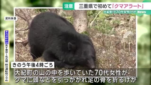 クマに頭や肩を引っかかれ足を骨折　山を歩いていた女性が襲われる　クマアラートを発出　三重県