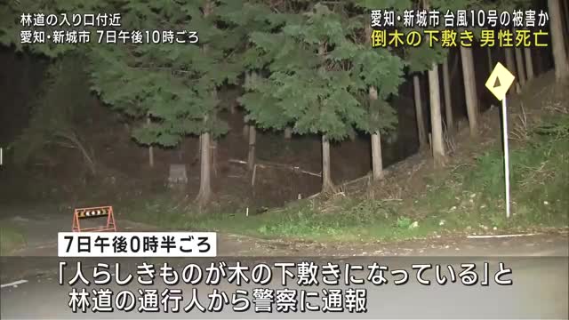 「人らしきものが木の下敷きに」林道で男性の遺体見つかる　台風10号の大雨で被害か　愛知