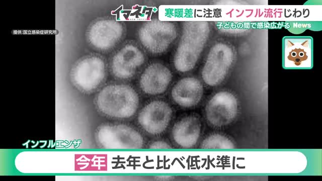 「鼻に液体を噴霧」インフルエンザ予防接種　今季から2歳～18歳までを対象に使用開始　