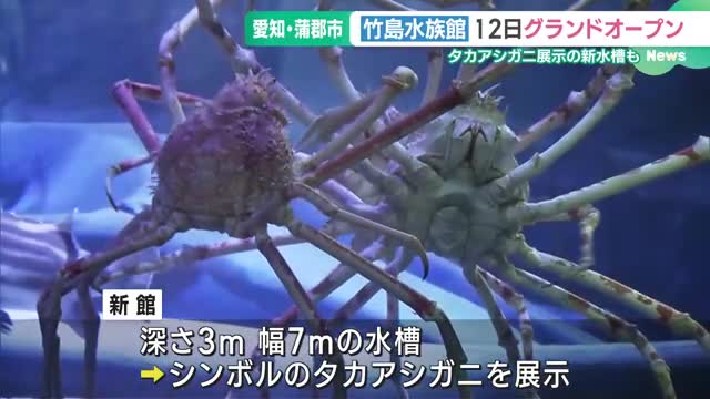 深海生物の種類は日本最大級　愛知・蒲郡市の竹島水族館が12日リニューアルオープン