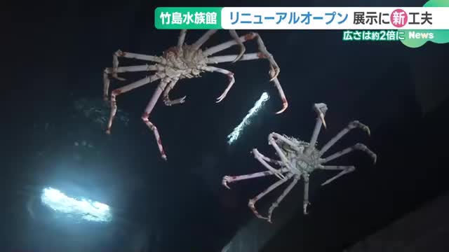 竹島水族館がリニューアルでパワーアップ　広さは2倍に、展示方法には新工夫も　愛知・蒲郡市