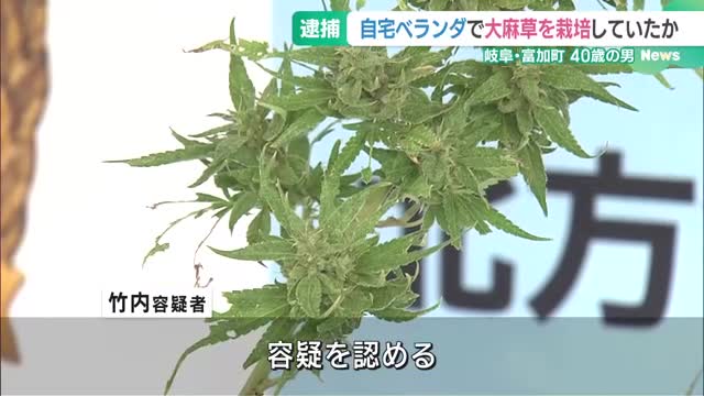 自宅ベランダで大麻草を栽培か　自身で使用していた可能性も　40歳の男を逮捕　岐阜