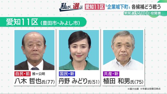 衆院選　