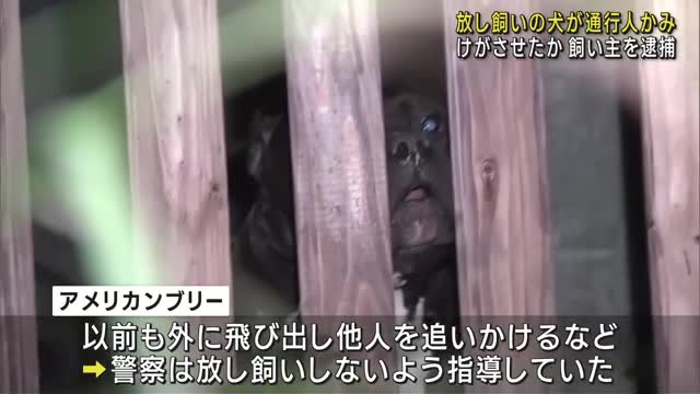 放し飼いの犬が通行人にかみつきけがをさせたか　飼い主を逮捕　愛知県新城市