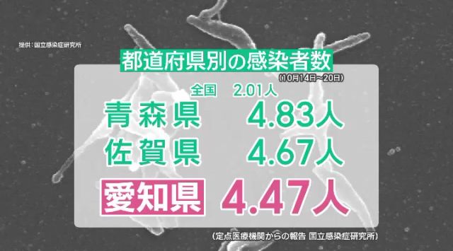 愛知県のマイコプラズマ感染者数は全国3番目に多い(10月14日～20日)