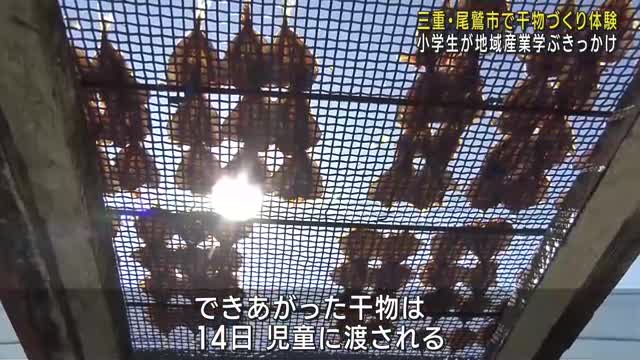 小学生がアジの干物づくりを体験　地域産業を学ぶ目的で　三重県尾鷲市