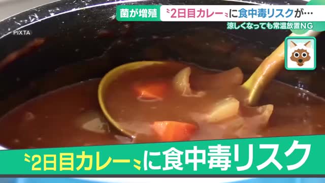 秋でも「2日目カレー」は食中毒リスク　シチューや煮物も要注意　涼しくなっても常温放置NG