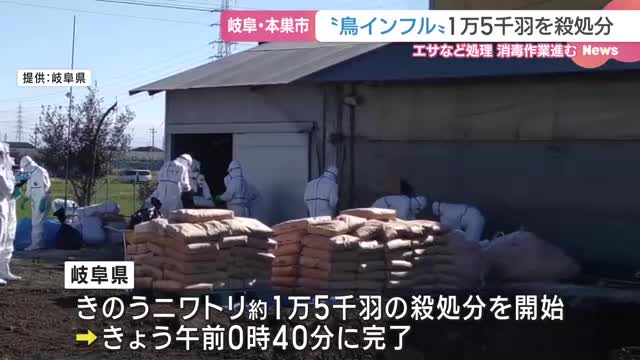 岐阜県の養鶏場で高病原性鳥インフルエンザ　ニワトリ約1万5千羽の殺処分完了