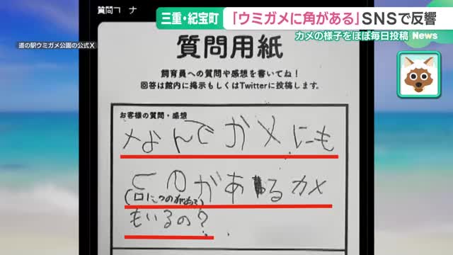 「ウミガメに角？」SNSで大反響　カメの様子をほぼ毎日投稿　三重・道の駅ウミガメ公園