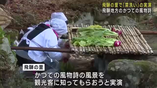 かつての飛騨地方の風物詩　飛騨の里で菜洗いの実演　合掌家屋前の小川で赤かぶなどを洗う　岐阜県高山市