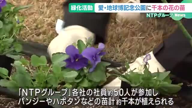 愛・地球博記念公園で「ふれあいグリーンキャンペーン」開催　千本の花の苗が植えられる