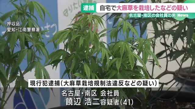 「タダであげることが多い」営利目的で大麻草を栽培したなどの疑い　男を逮捕　　