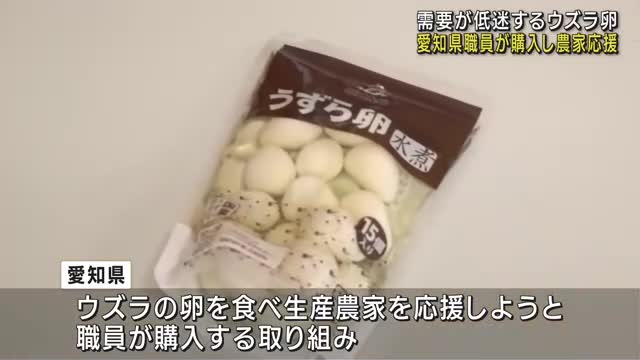 需要が低迷するウズラ卵　愛知県職員が購入し東三河地域の農家を応援