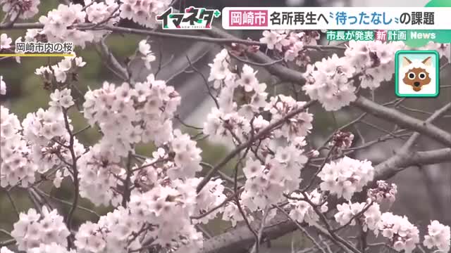 深刻な桜の老木化　クラファンで桜並木を再生　子どもたちにつなげる景色　愛知・岡崎市