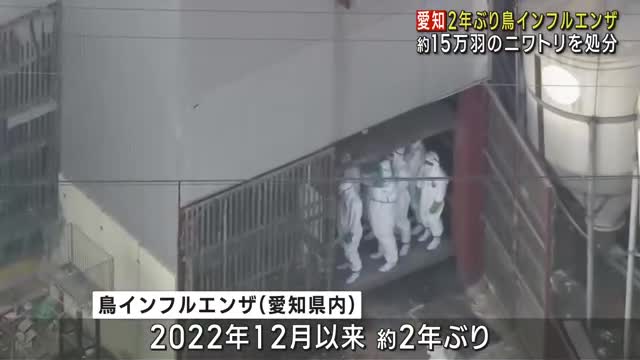 常滑市の養鶏場で鳥インフルエンザを確認　約15万羽を殺処分　約215万羽の移動を制限