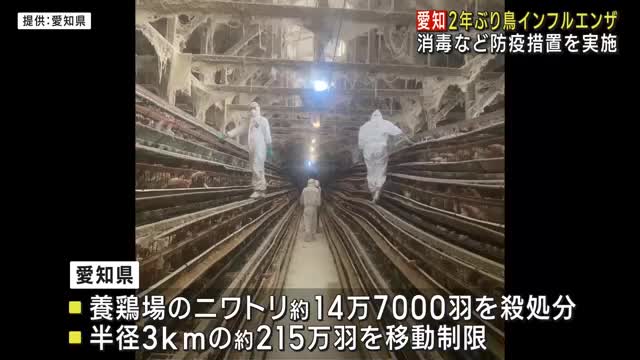 鳥インフルエンザの確認受け県が防疫措置を進める　愛知・常滑市