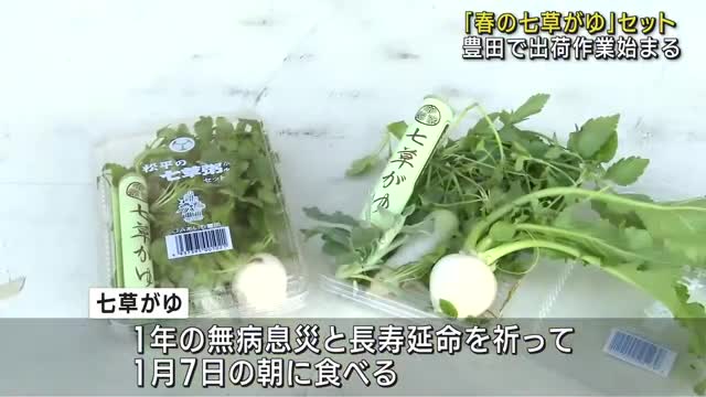 正月のごちそうや酒で疲れた胃のために…「春の七草がゆセット」の出荷作業始まる　愛知県豊田市　