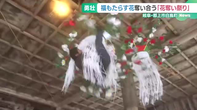 福をもたらす花笠めざし5mの高さへ　岐阜・郡上市の長滝白山神社で「花奪い祭り」