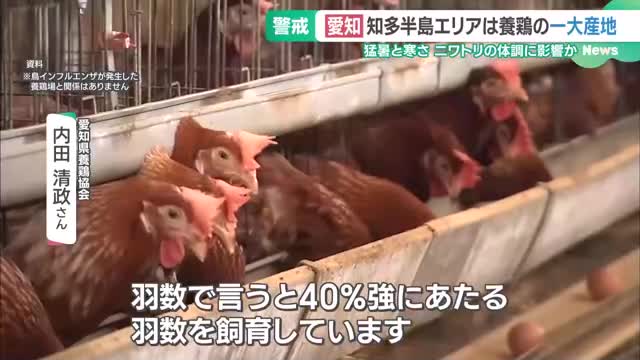 養鶏の一大産地で鳥インフルエンザ　生産者「対策にも限界が」　食卓への影響は　愛知・常滑市