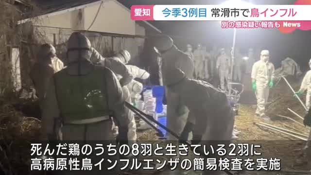 県内の養鶏場で3例目の感染確認　高病原性鳥インフルエンザ感染疑いの4例目と5例目も発表　愛知