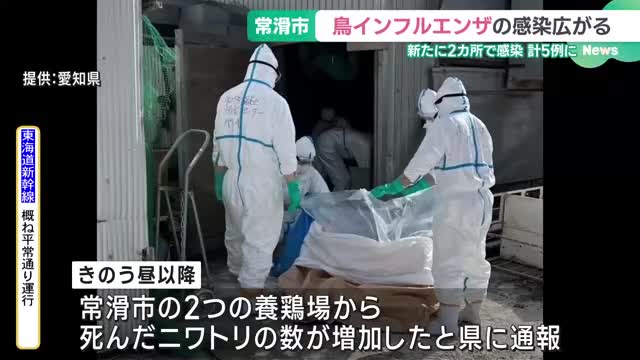 鳥インフルエンザの感染　5例目　いずれも常滑市内の養鶏場で確認