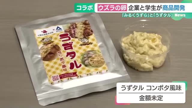 ウズラの卵をミルク味やコンポタ風味に　愛知大生と食品メーカーがコラボ、東三河の生産農家を応援