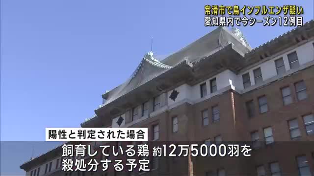 愛知県常滑市で鳥インフルエンザ疑いの鶏見つかる　愛知県で今シーズン12例目