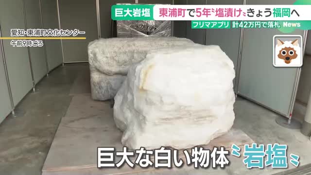 5.5トンの巨大岩塩がメルカリで売れた　愛知・東浦町で5年“塩漬け”、福岡県の自然薯直売所へ