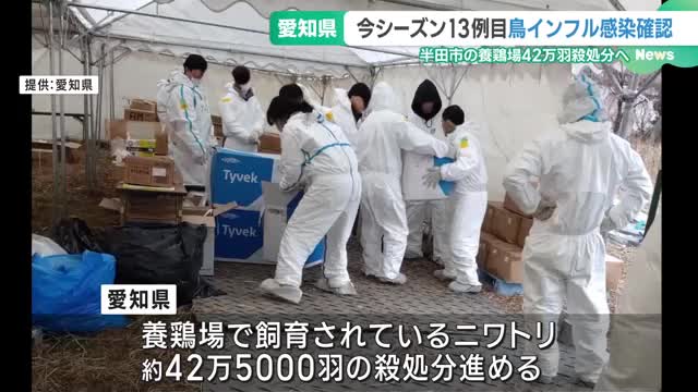 止まらぬ鳥インフルエンザに大村知事「大変厳しい」　愛知県半田市で13例目を確認　42万羽殺処分へ