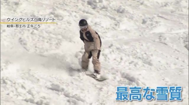 今年は非常に雪質が良いというウイングヒルズ白鳥リゾート