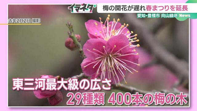 去年2月2日にメ～テレが取材した春まつりの様子