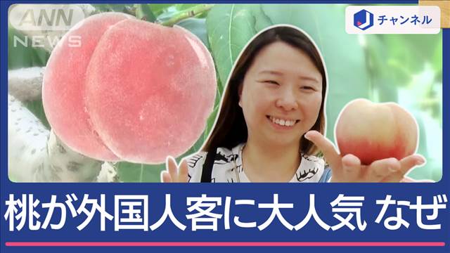 「とても甘い」外国人観光客 桃に殺到なぜ 日本だけの“味”？