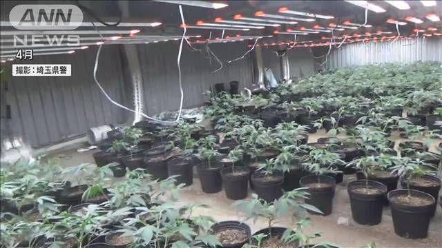 24時間態勢で大麻草“栽培”管理か　LED照明などで発育促進も…ベトナム人6人逮捕