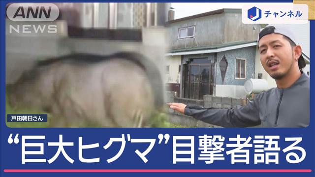 「これはまずいなと」体長2メートルのヒグマが市街地“徘徊”目撃者語る