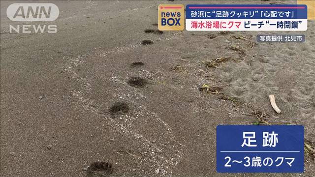 砂浜に“足跡クッキリ”海水浴場にクマ　ビーチを一時閉鎖　北海道