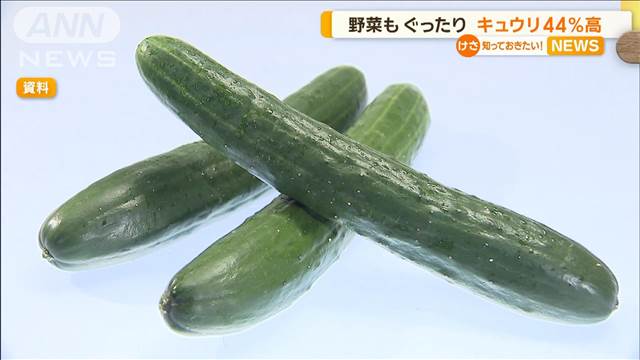 キュウリ価格44％高　厳しい暑さで生育不良　8月中は高値の見通し