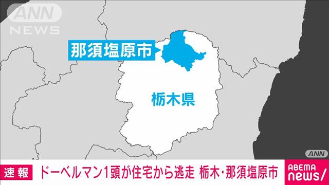 ドーベルマン1頭が住宅から逃走　栃木・那須塩原市