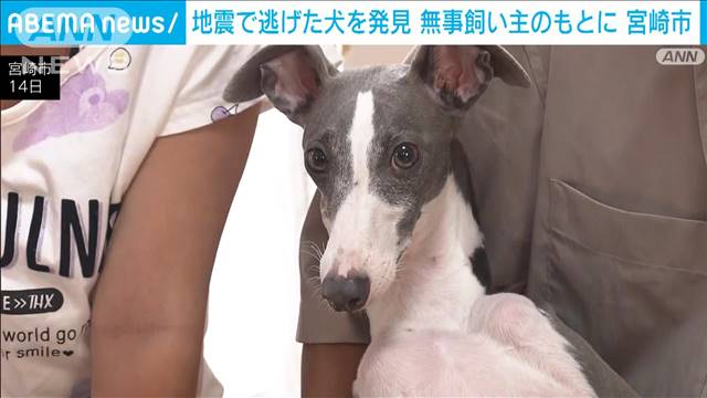 地震発生時に逃げ出し　行方不明の犬が飼い主のもとに…　宮崎