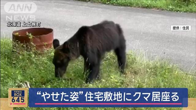 “やせた姿”住宅敷地にクマ居座る　北海道