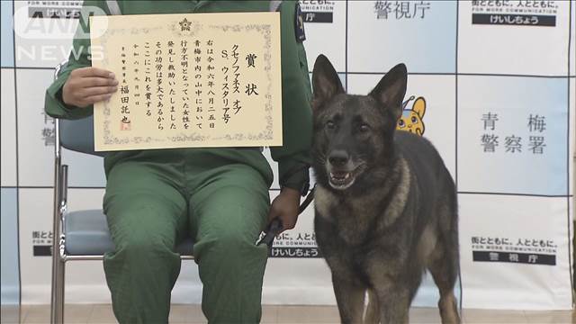 警視庁の警備犬　行方不明の女性を発見し表彰